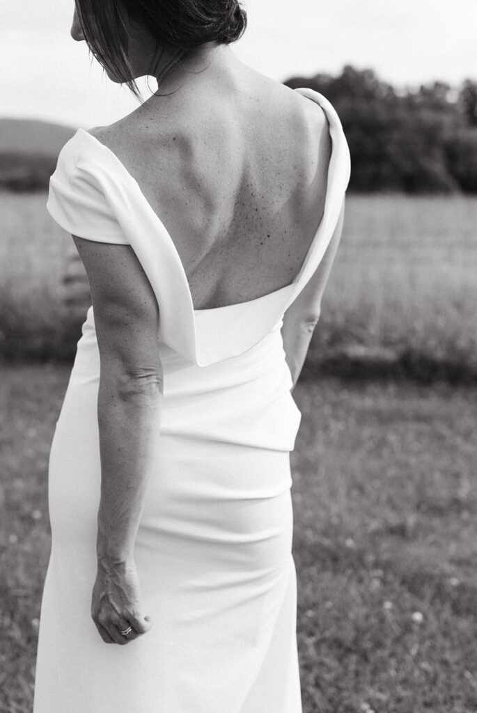 Bridal portrait in a scenic field with the Blue Ridge Mountains in the distance.
